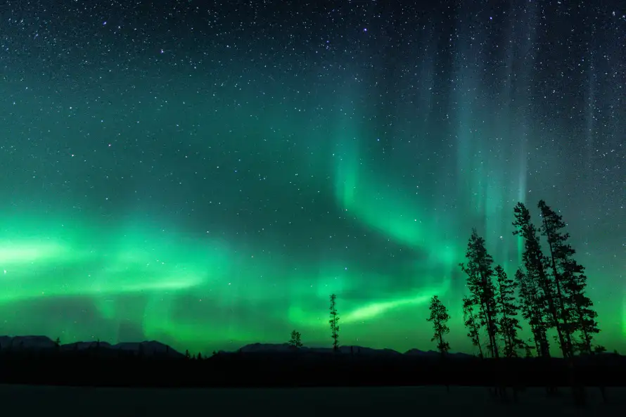 Alert Northern Lights